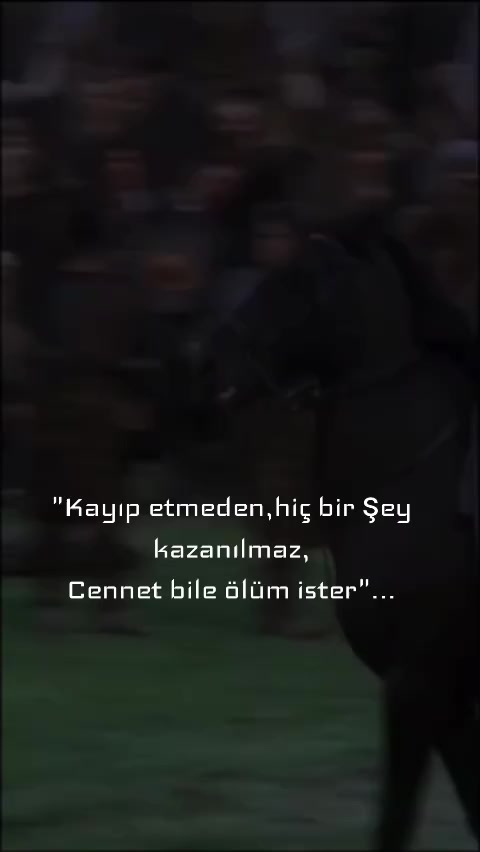 @Zaur Nabiev🇬🇪🇦🇿🇵🇱