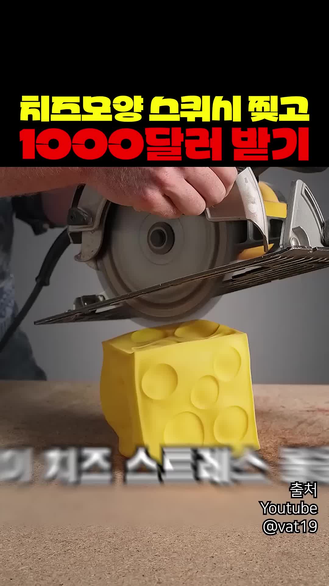 @짱아까미