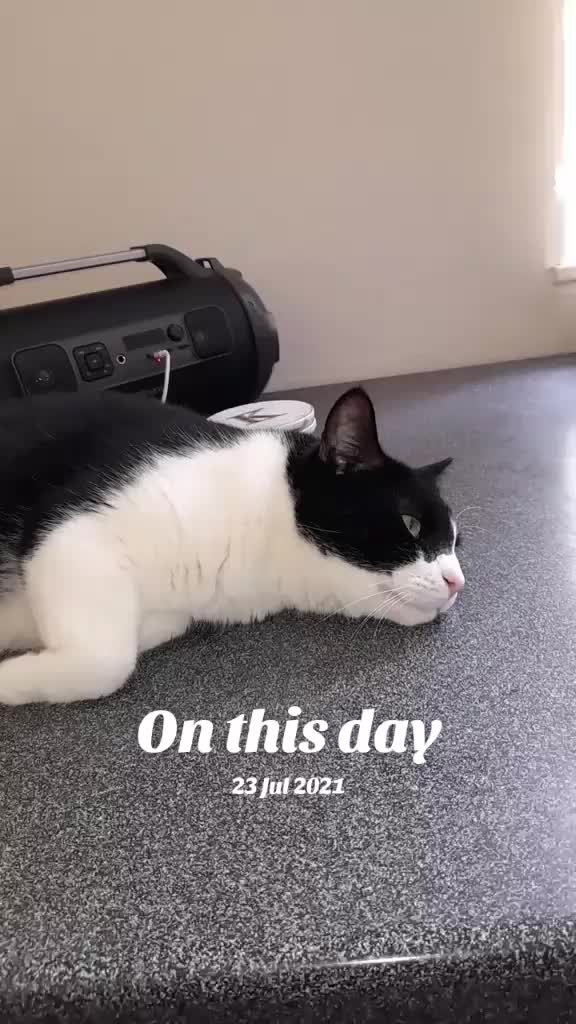 @๐ฆ April'Monique ๐ฆ