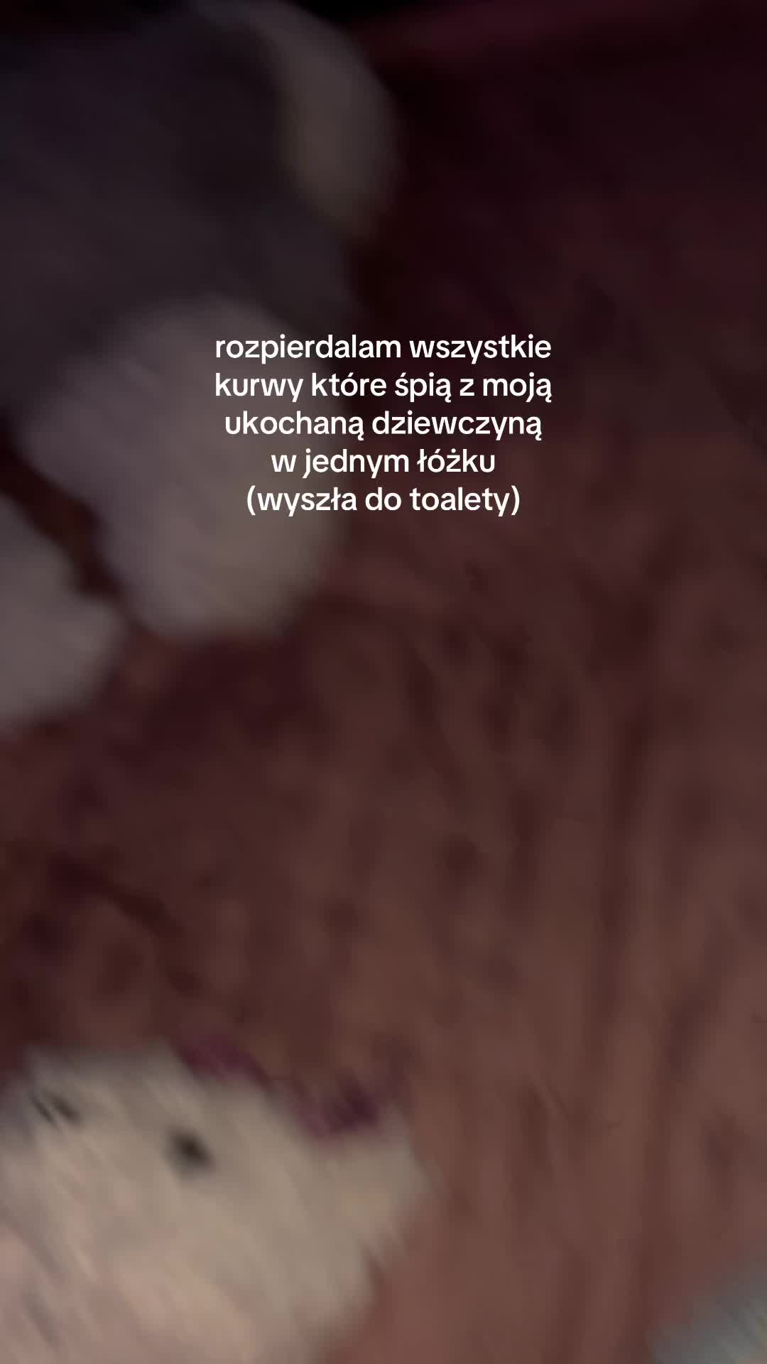 @redrosetroy