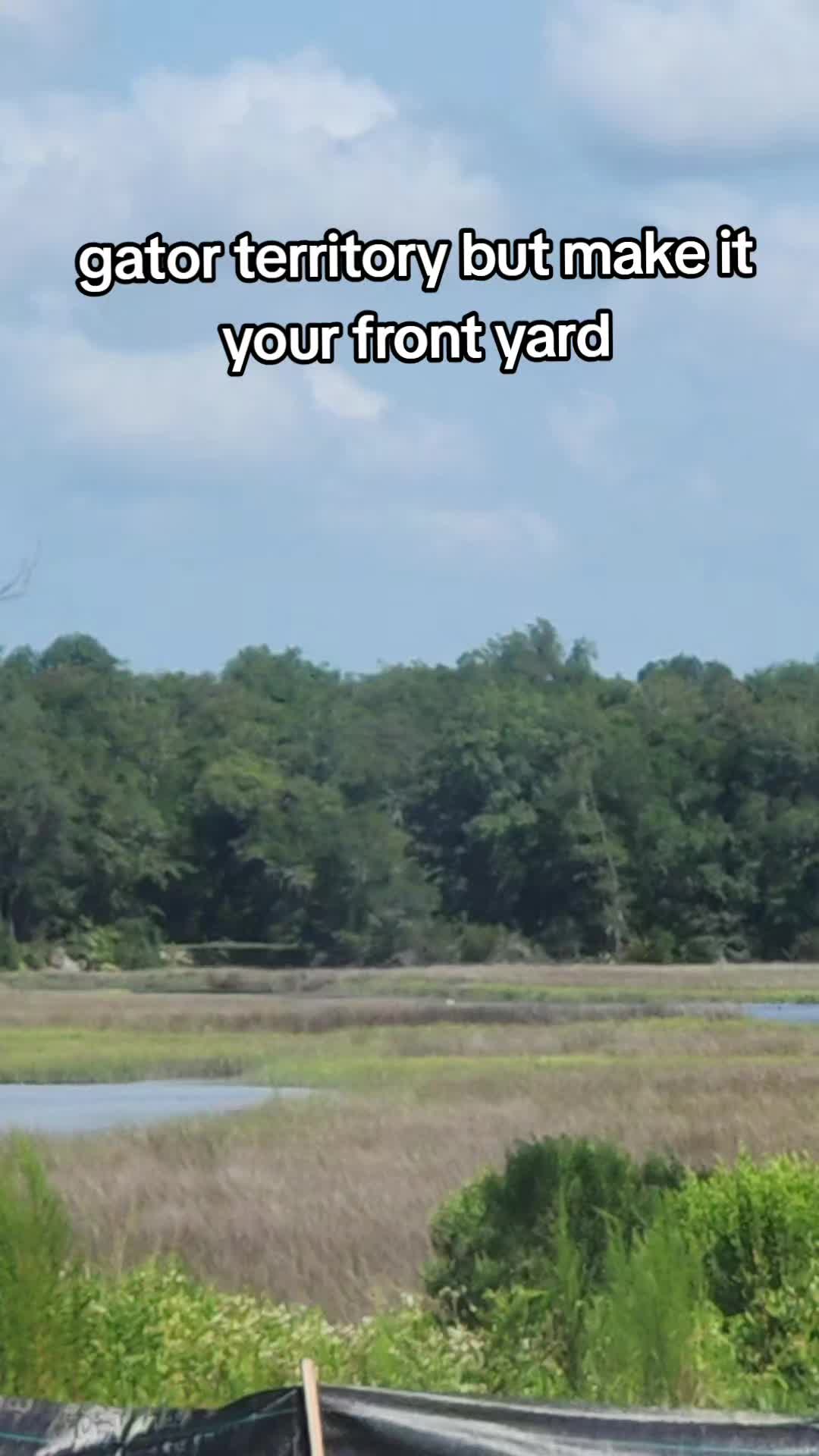 @Jules