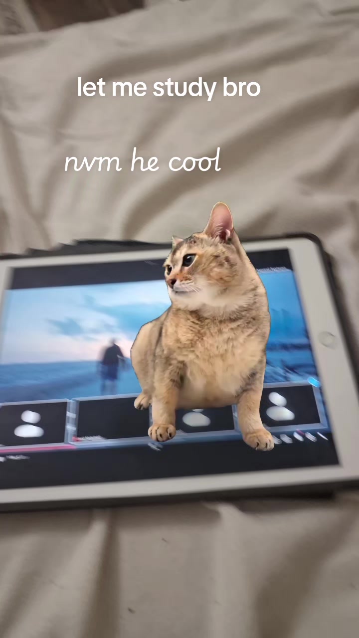 @Samski 냐흠