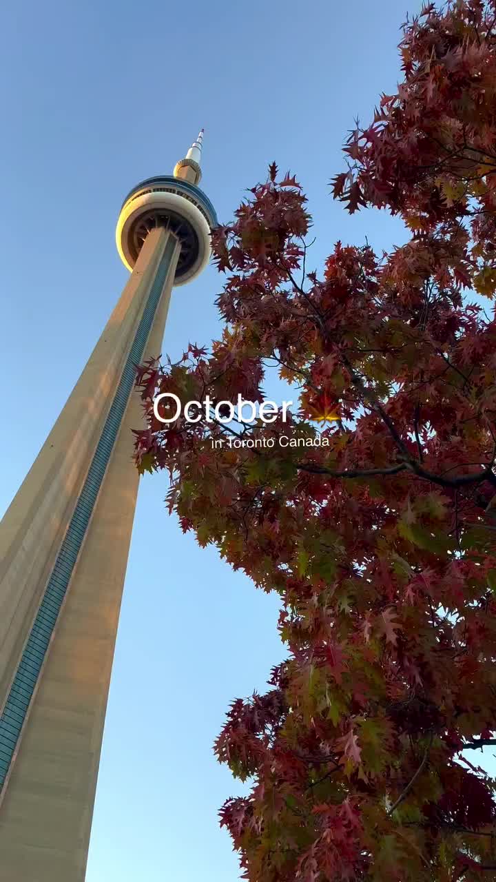 @Destination Toronto