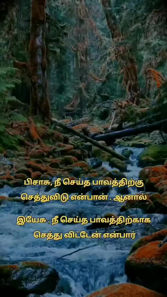 @😍❤️சித்ரா😍❤️