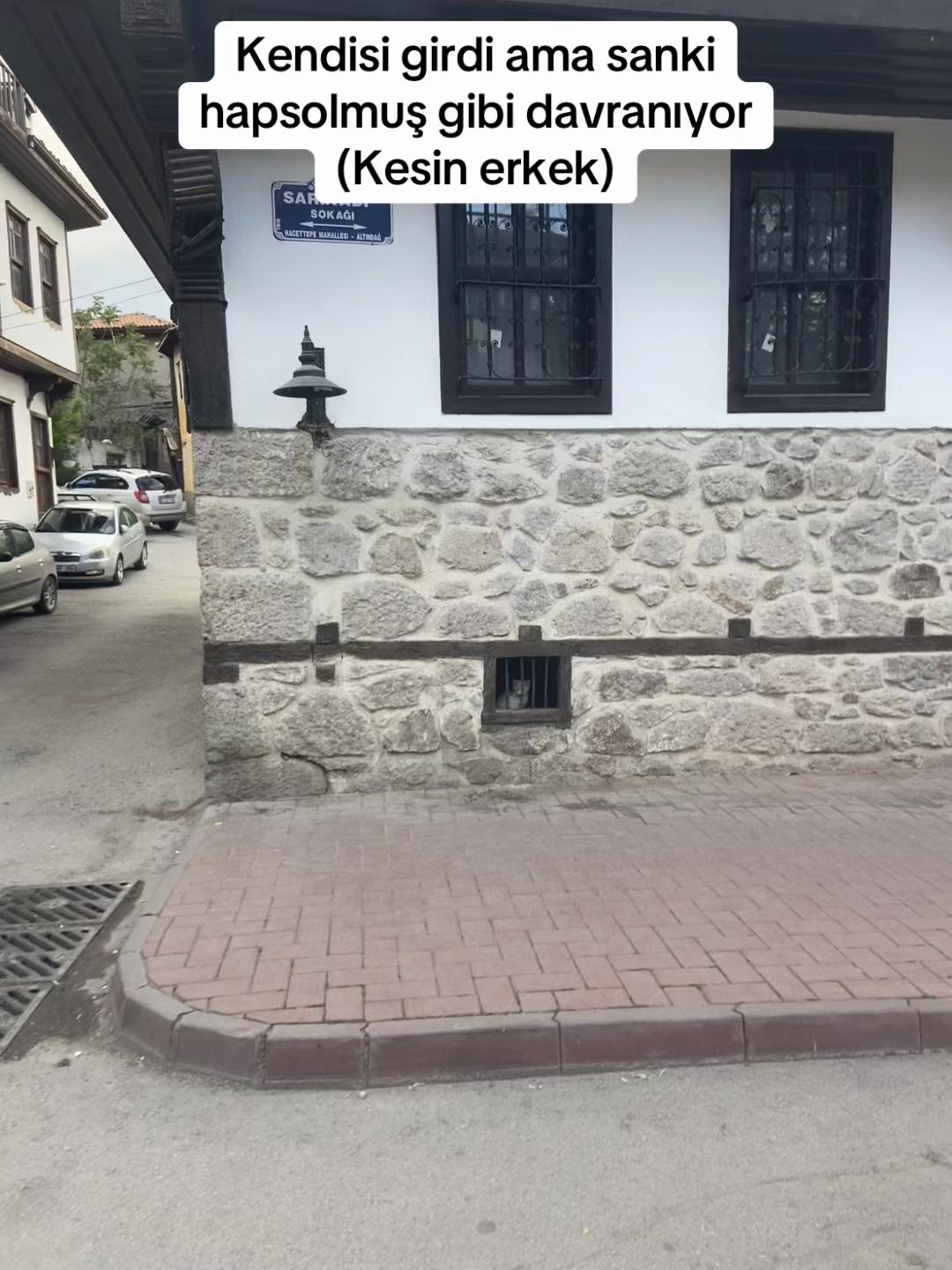 @Beyz