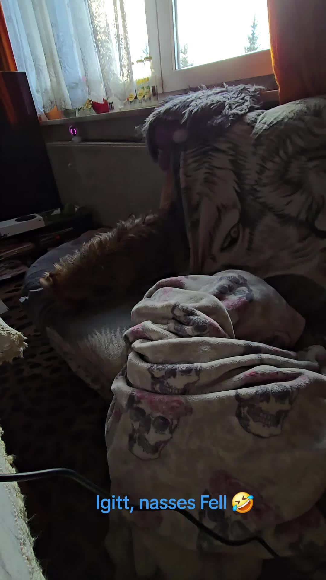 @L1N00