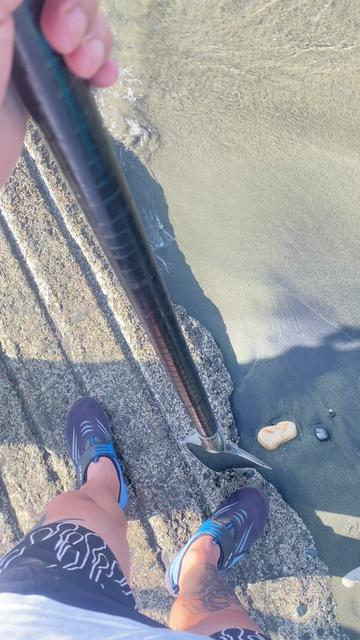 @Bless D Koinch