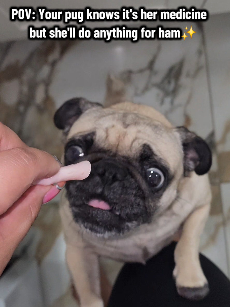 @Lulu
