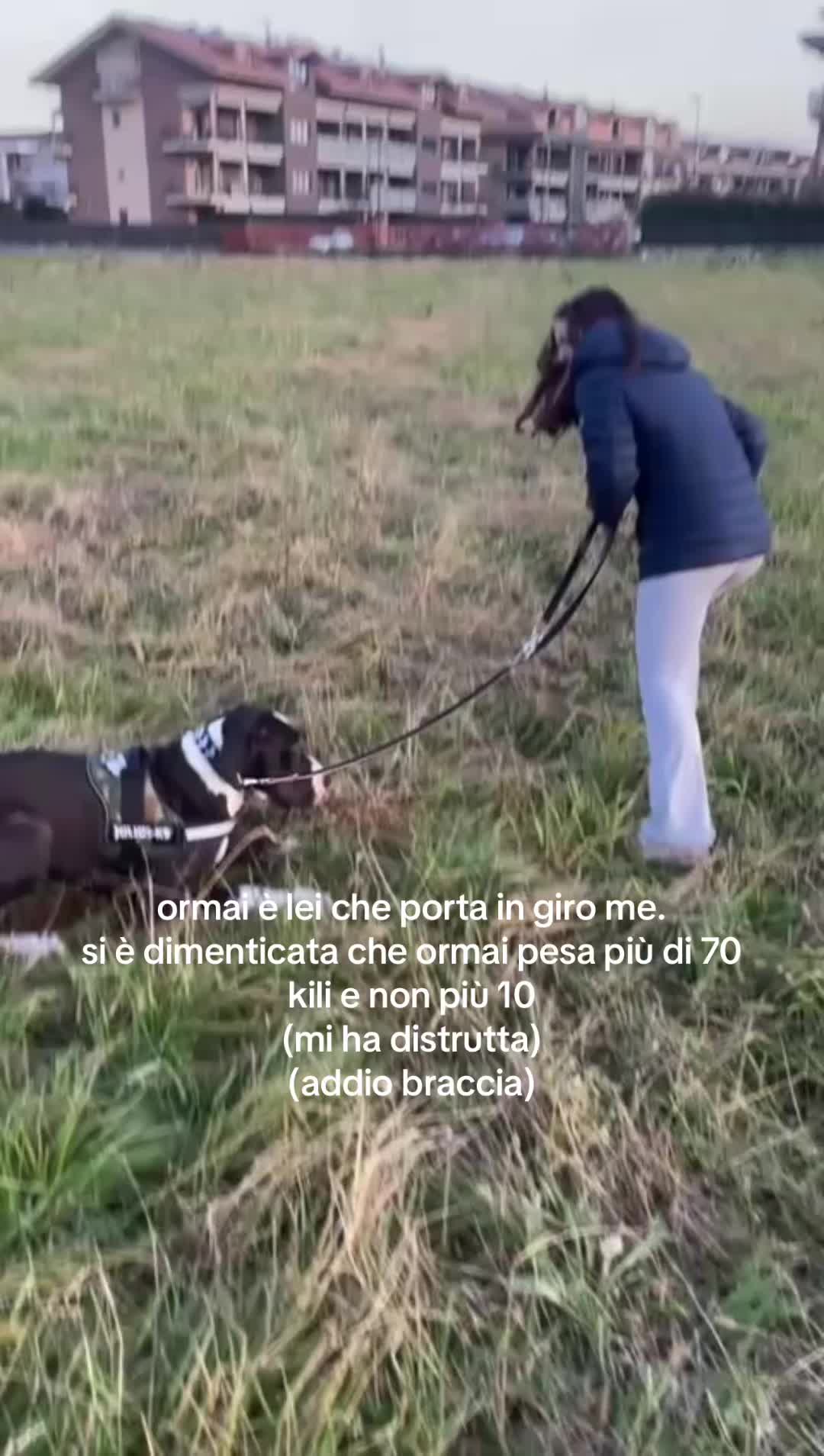 @𝒸ℯ𝓈𝒸𝒶 💘