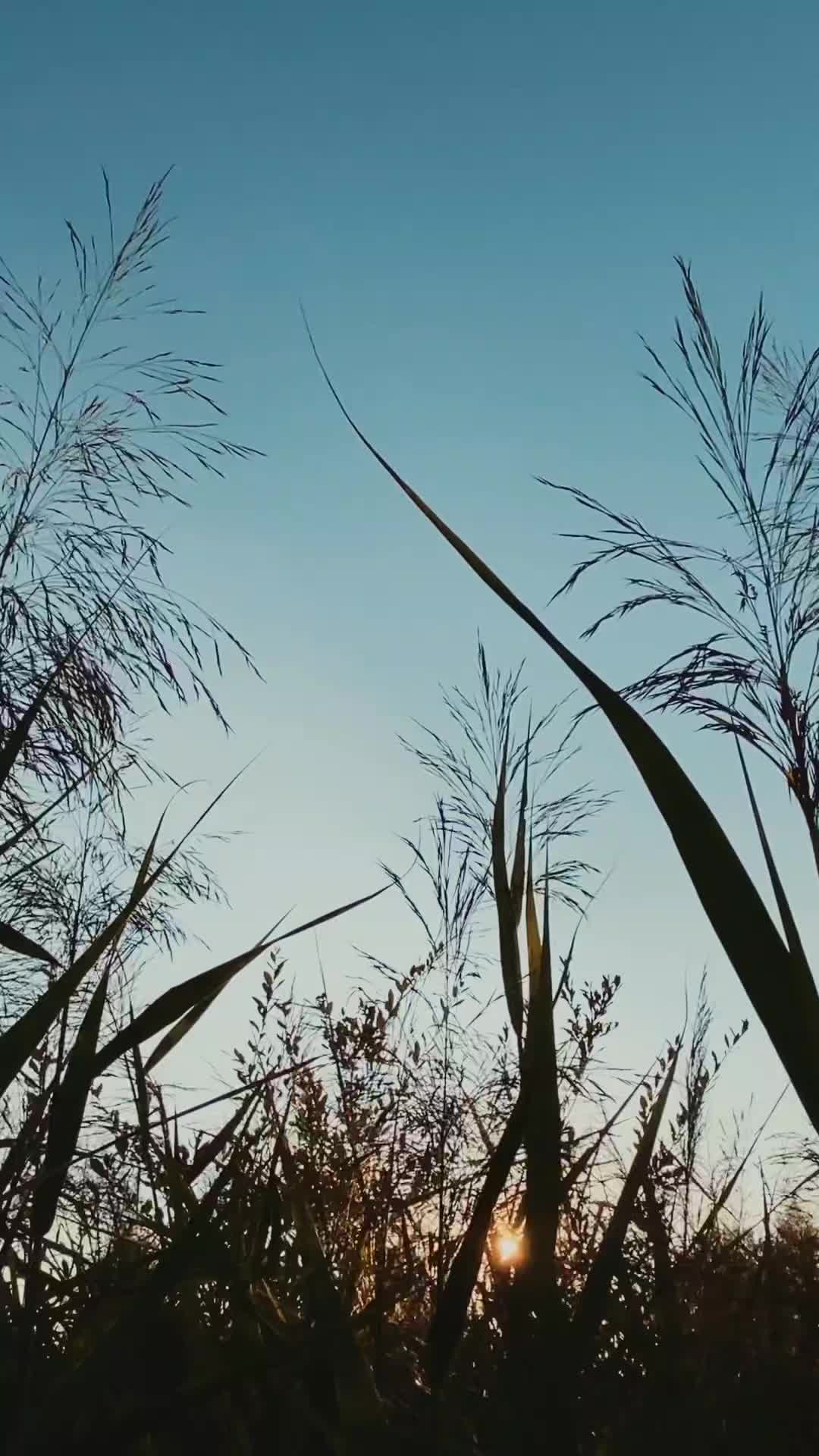@🅑︎🅔︎🅝︎.🅝︎
