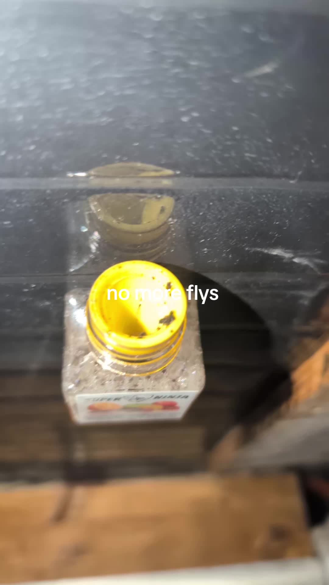 @vanlife