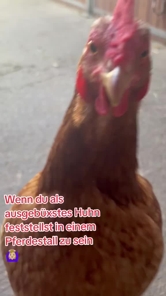 @Juliane Weyland