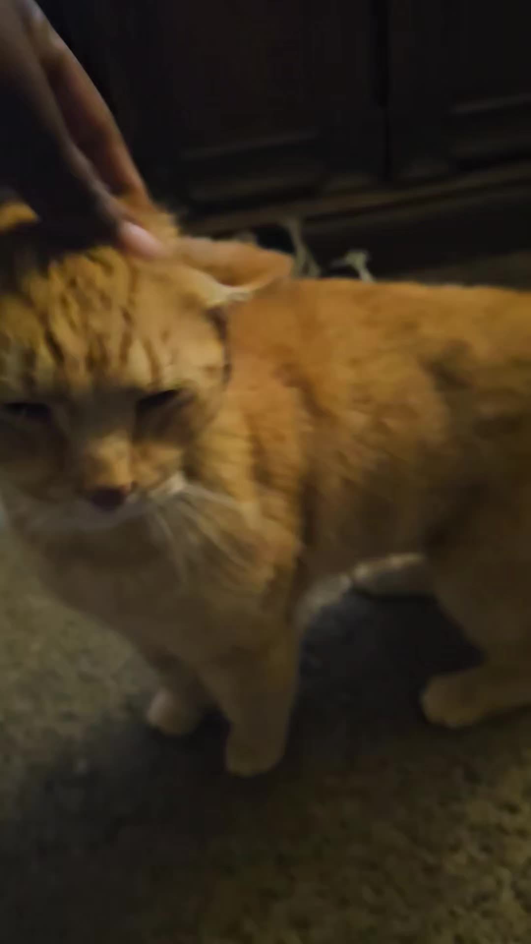 @Natural Mama