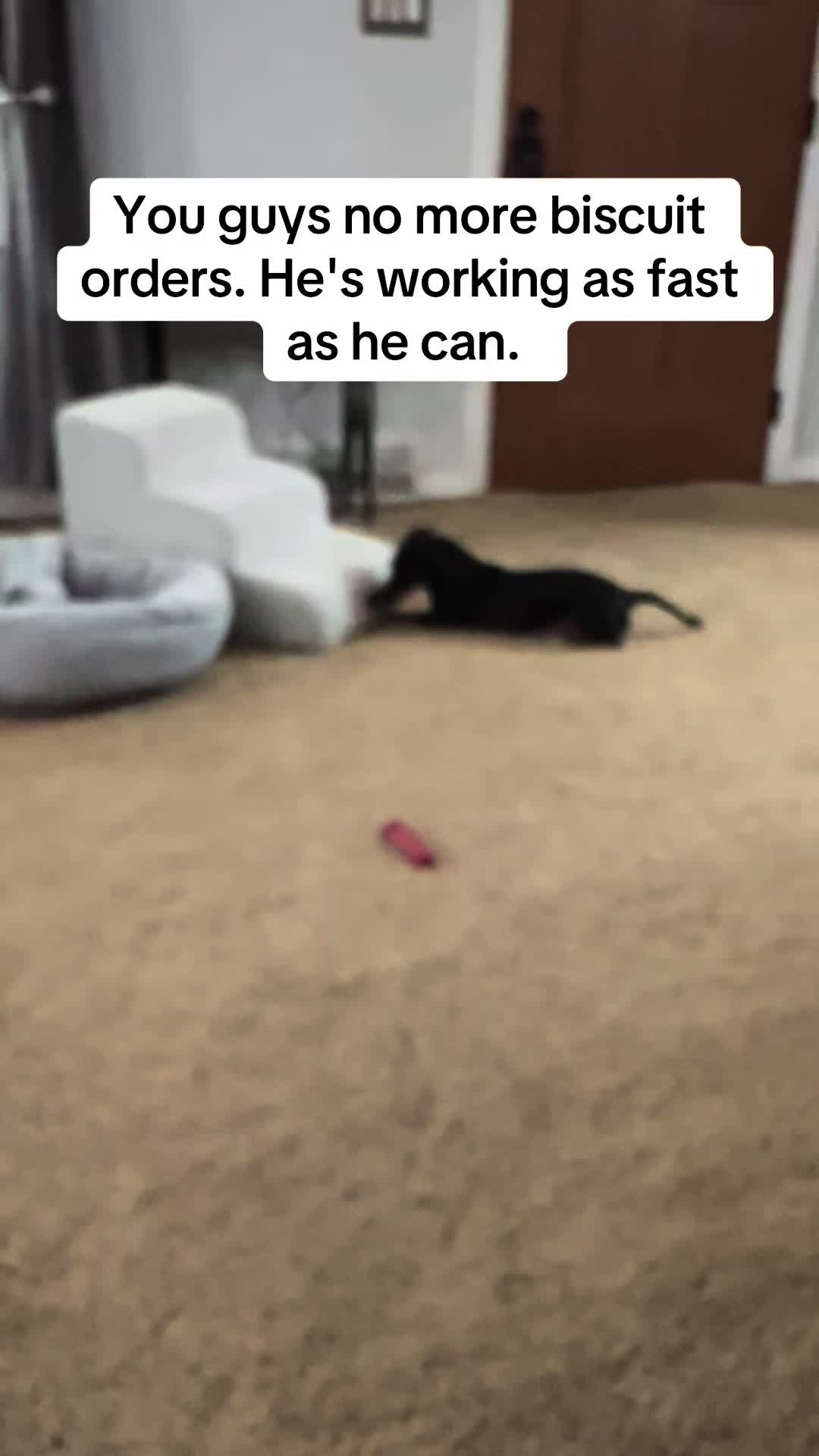 @Cassandra