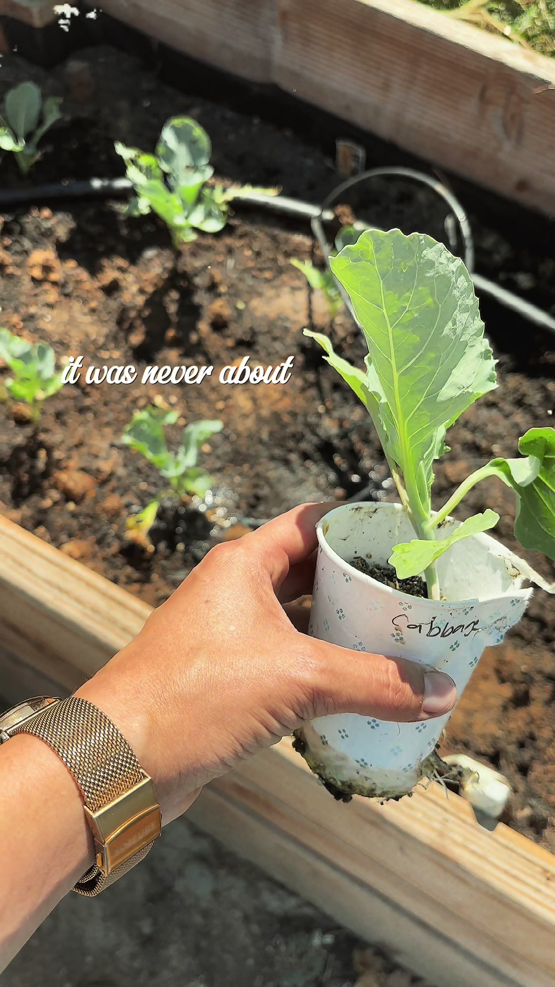 @seedstosprouts