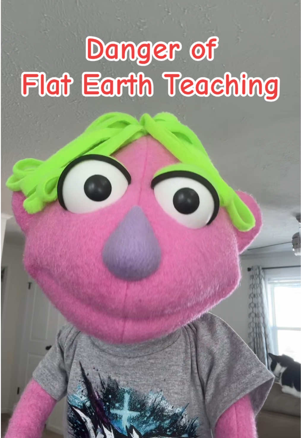 @𝘋𝘪𝘯𝘹 𝘵𝘩𝘦 𝘗𝘶𝘱𝘱𝘦𝘵