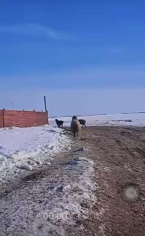 @ереке