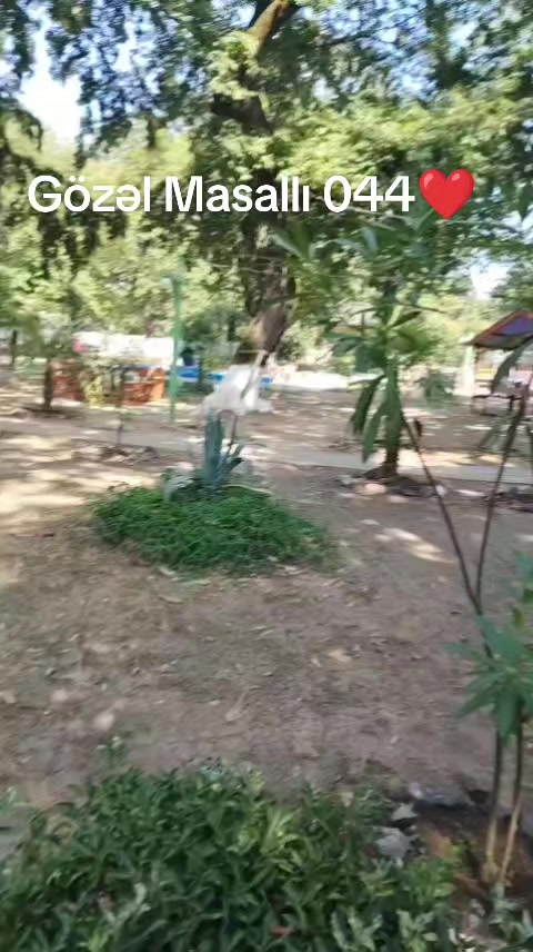 @Roma_TT
