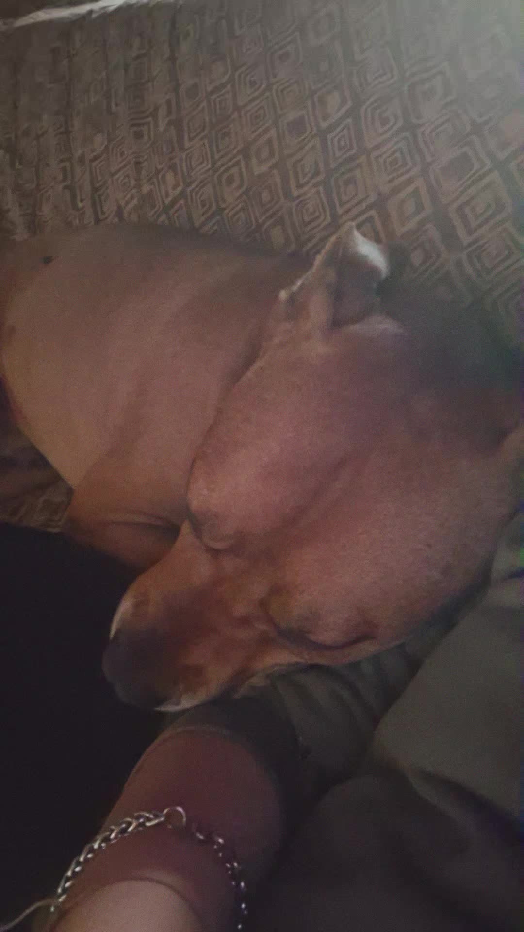 @AngyeSandy🐾