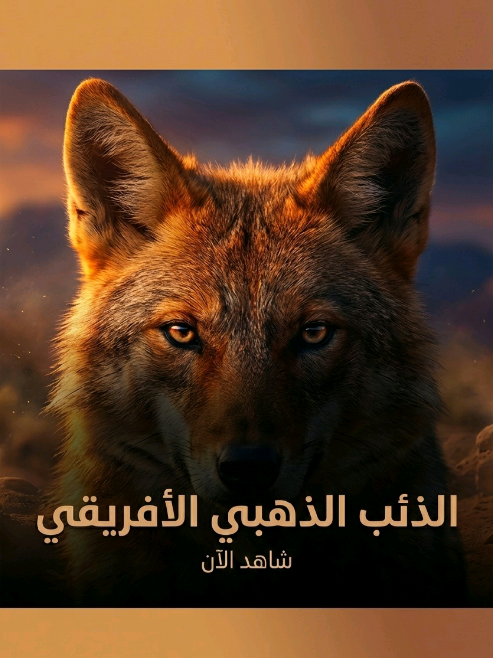 @ramziaouadj93