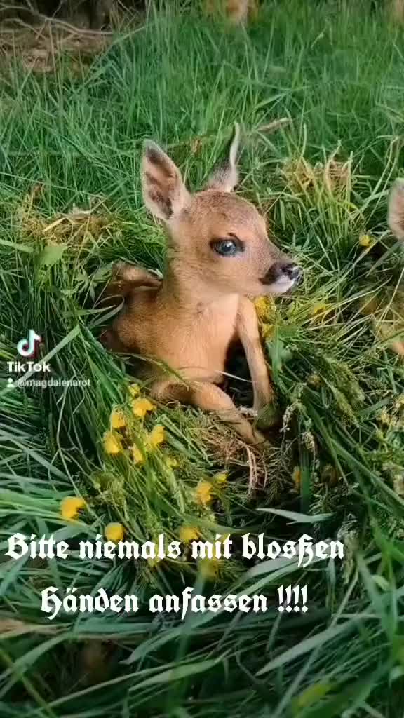 @Klaus 🦦