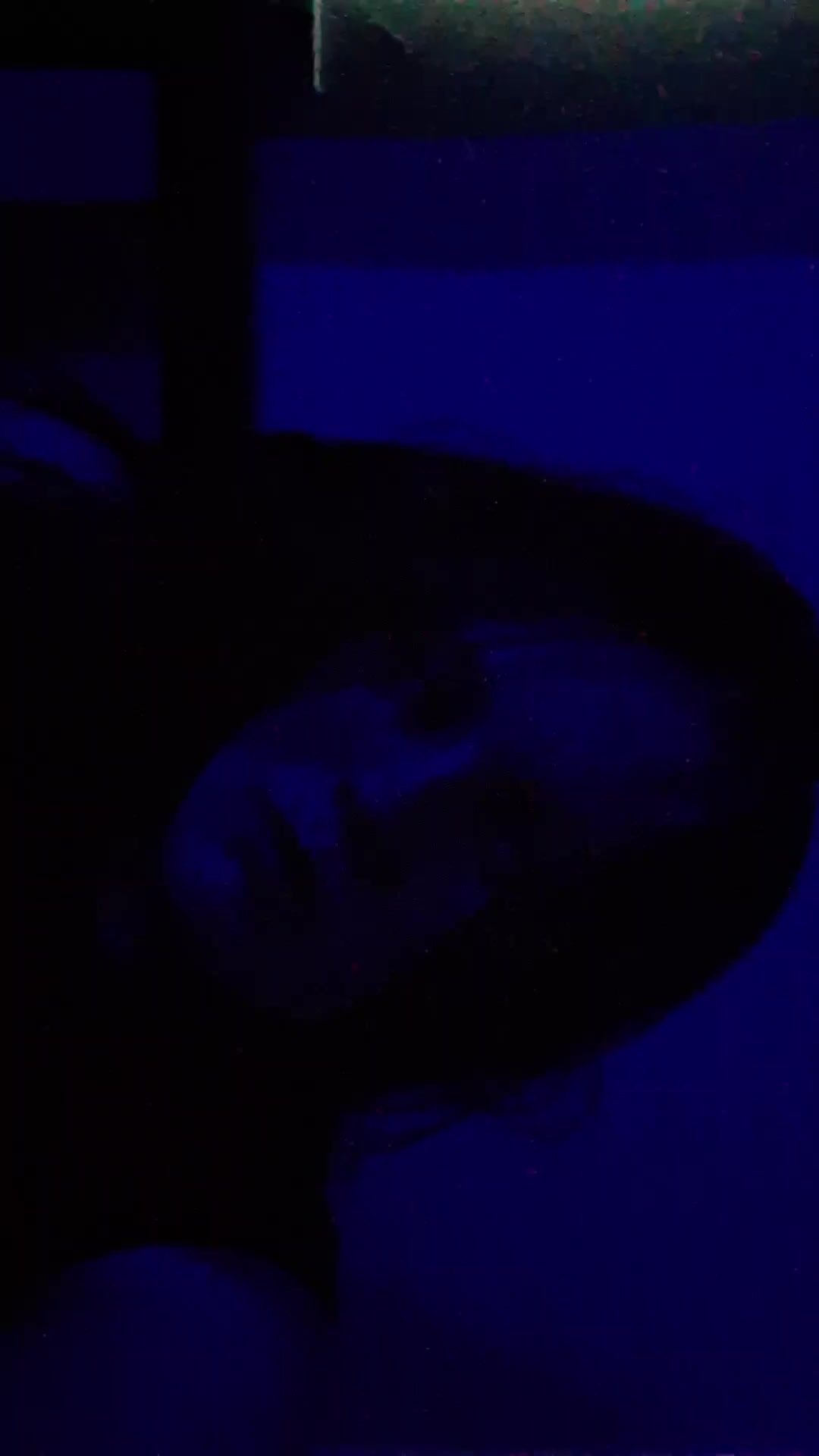 @Blackout_File_Collective