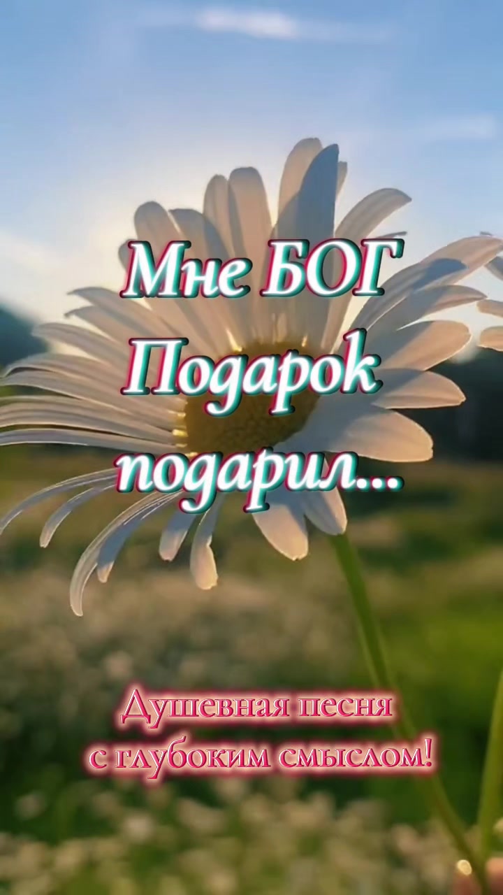 @✨Елена✨