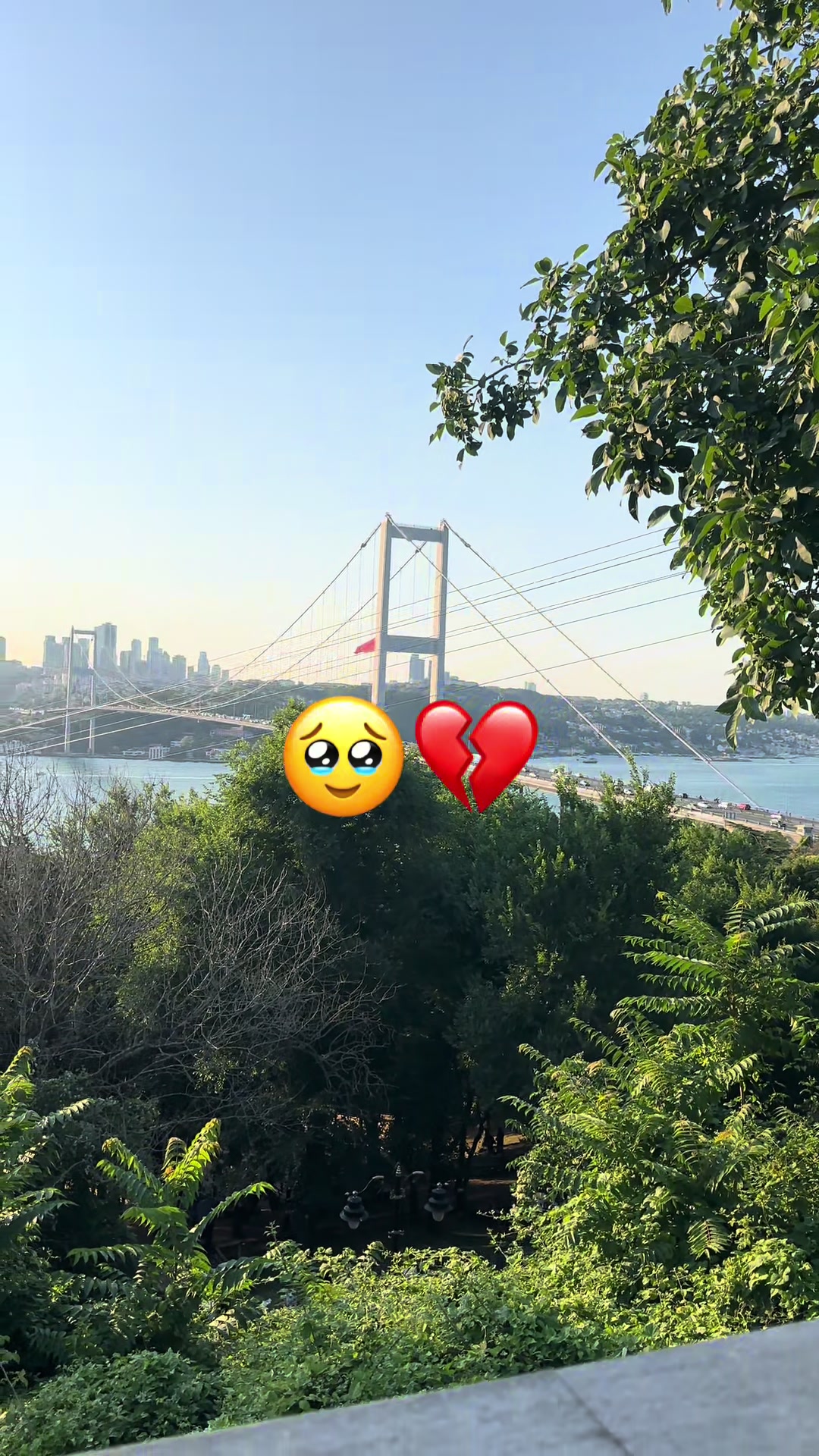 @papatya_65