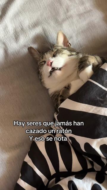 @Andrea pop