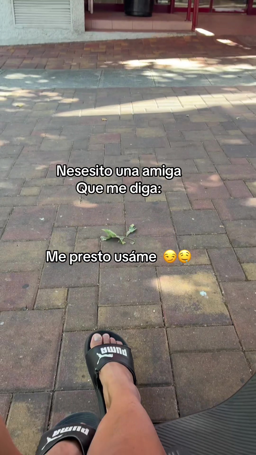 @diana1.114