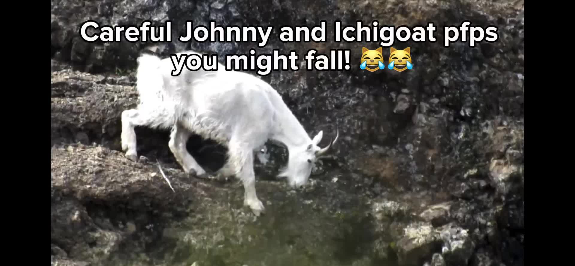 @Johnny Joestar