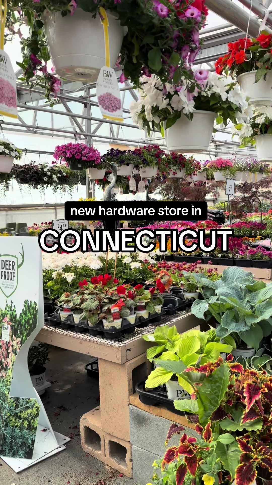 @tasteconnecticut