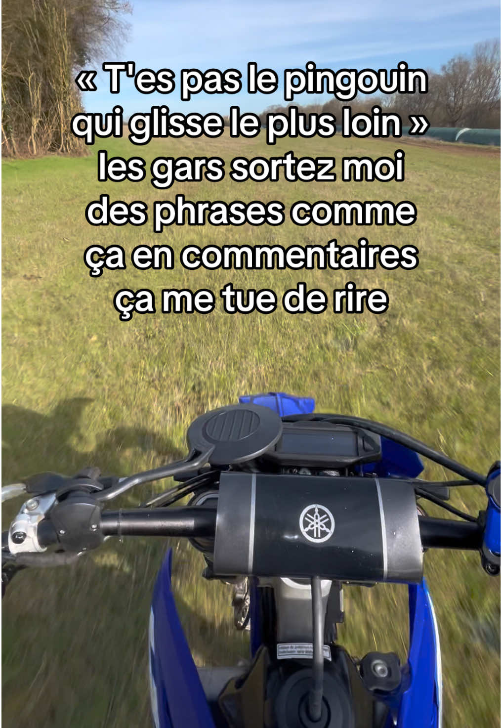 @Naoz.pov