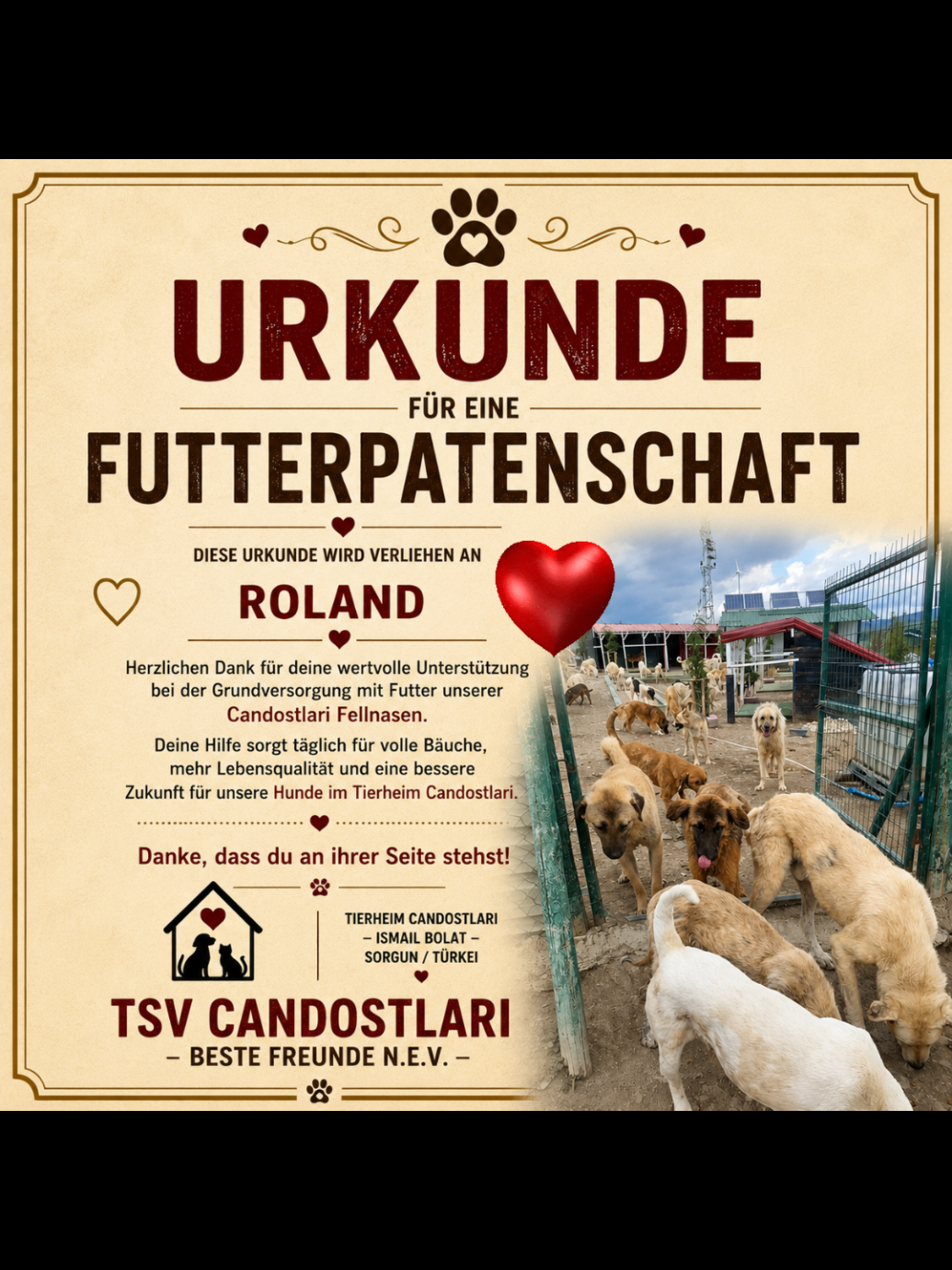 @TSV Candostlari-Beste Freunde