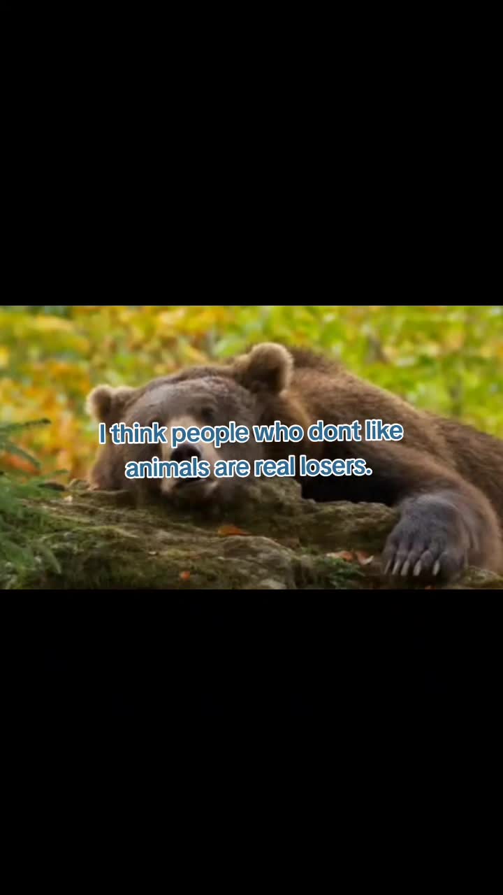 @Alex