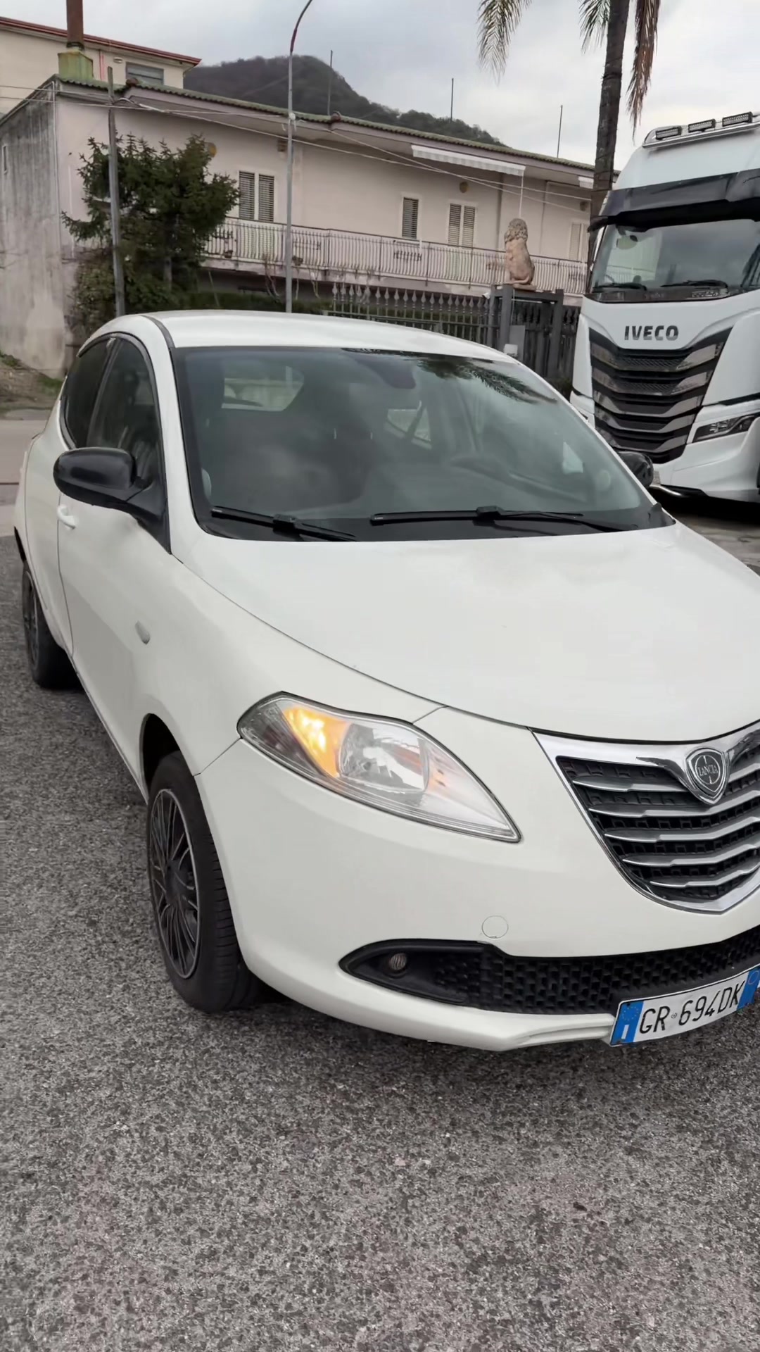 @Carbone Trans
