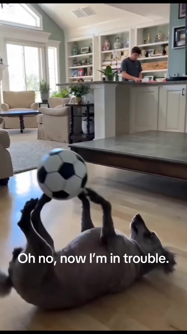 @Kareen