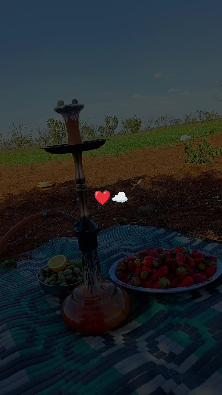 @محمد ابو الجود .