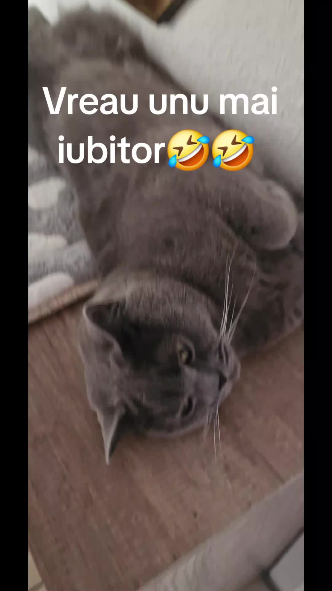 @myoaramicu
