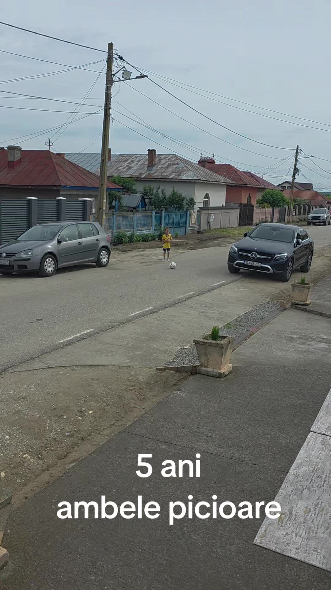 @Zian Leuţul Sudului