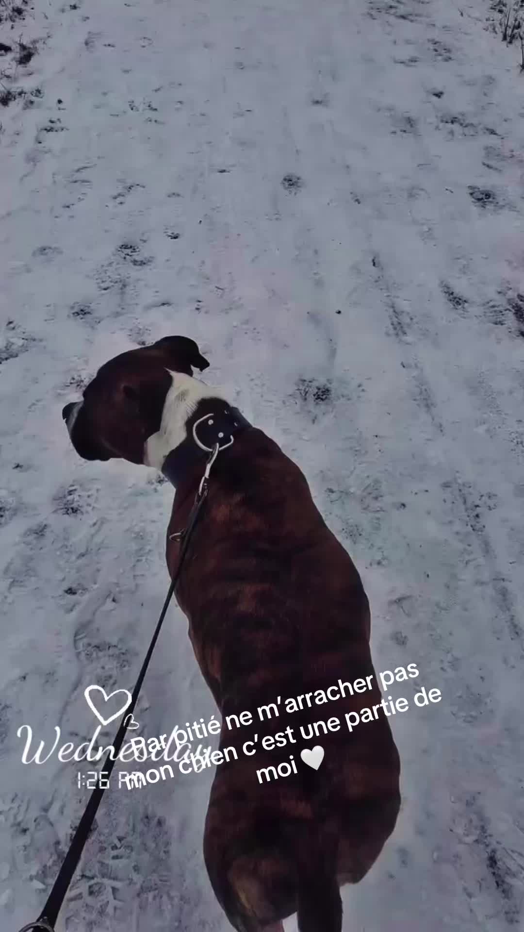 @Mélanie 🦔