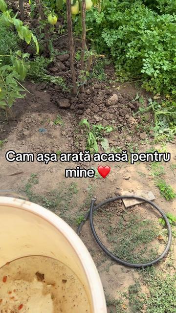 @Diana Andreea