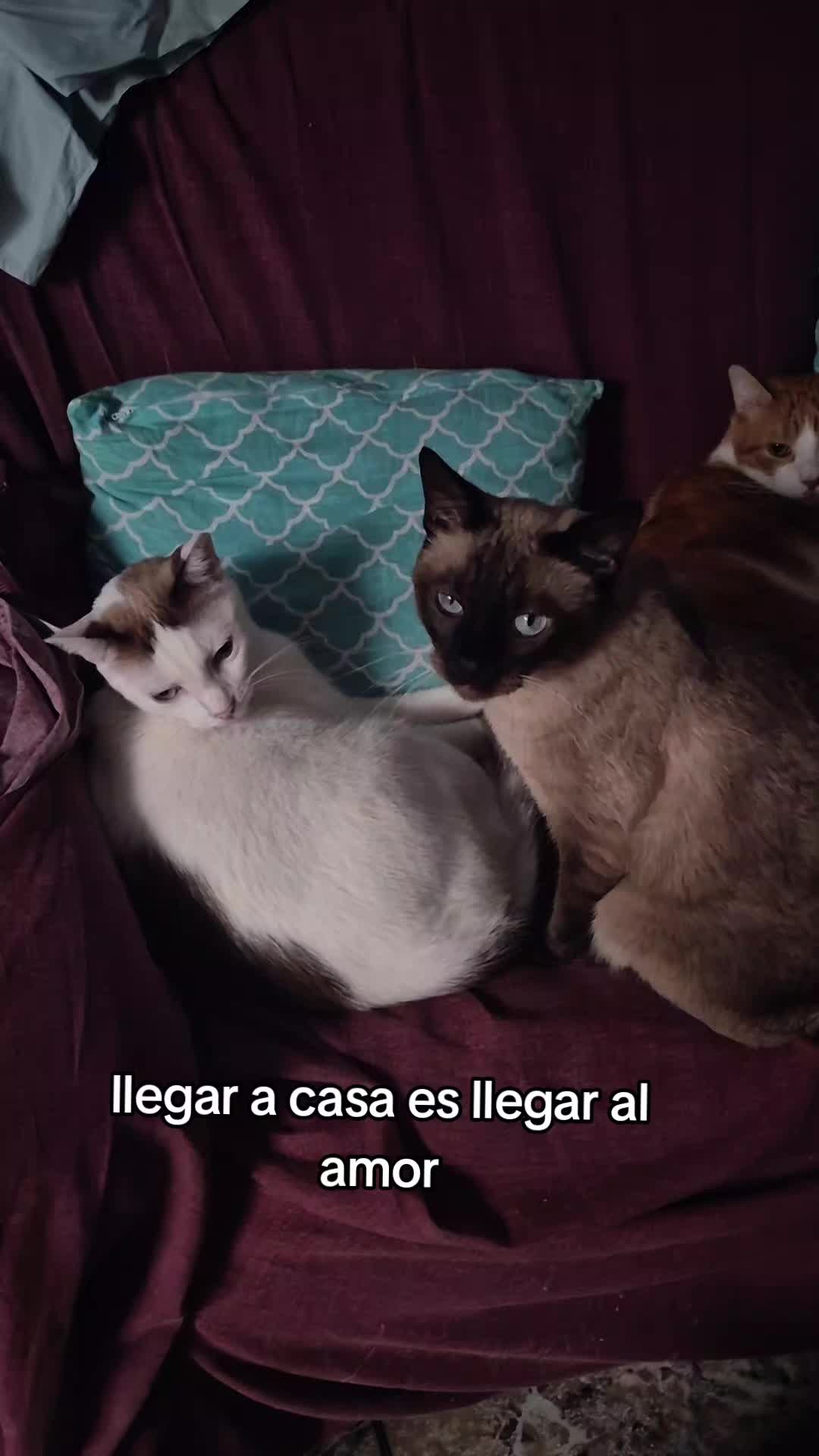@Bernardette