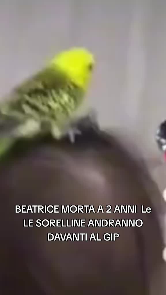 @♀️ᖴEᗪEᖇIᑕO♂️