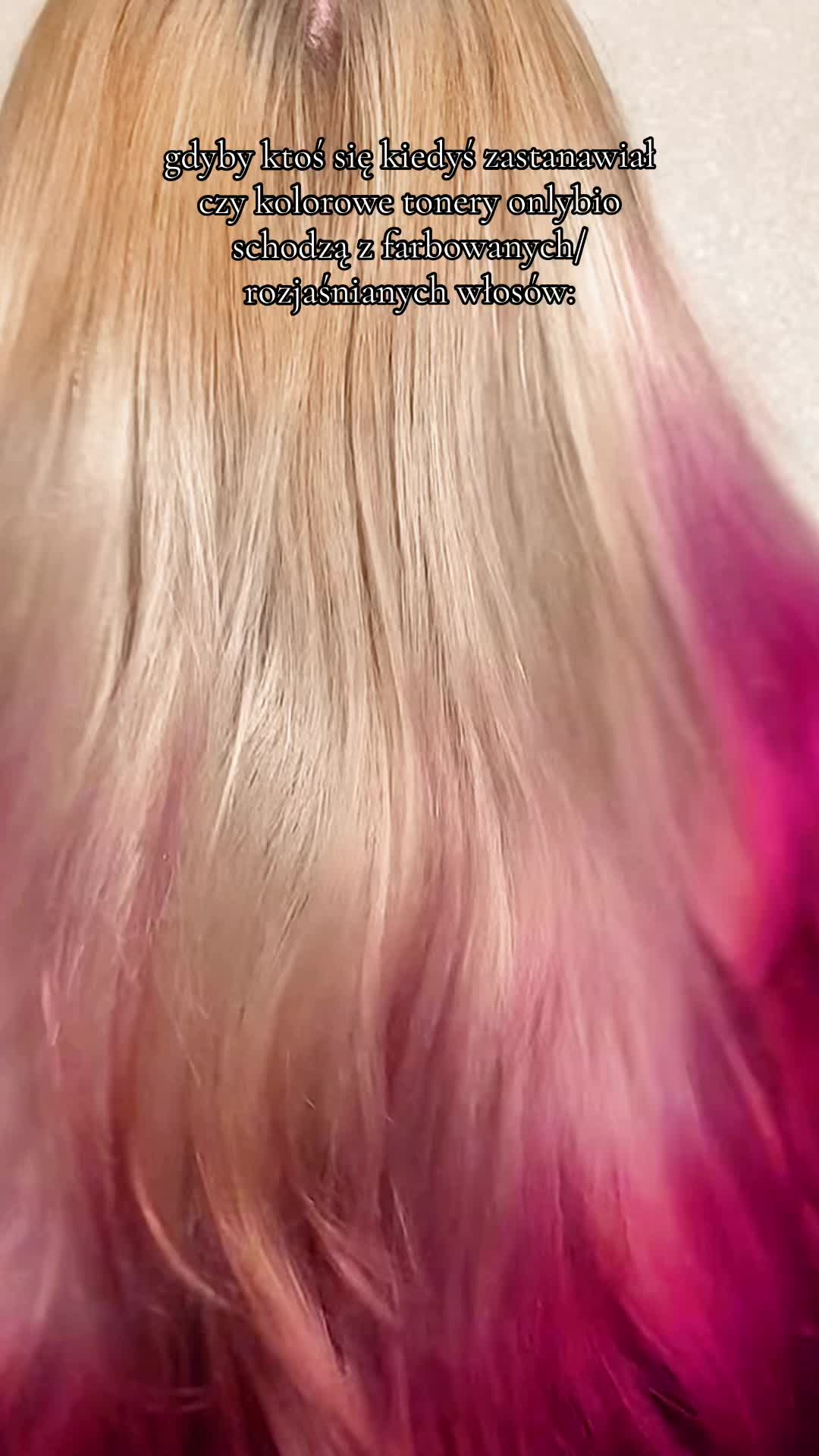 @ฅ^•ﻌ•^ฅ