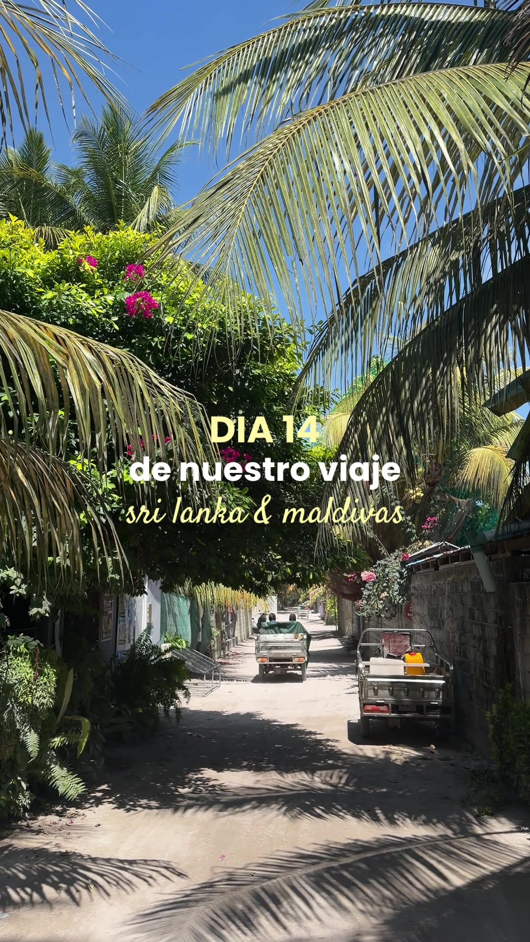@Laia Ruiz