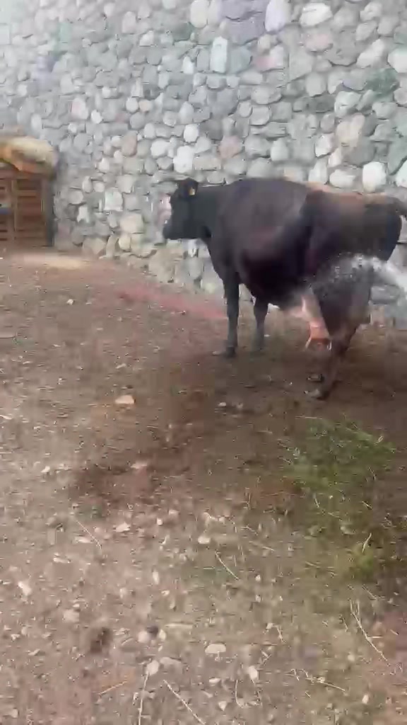 @Ferma _vellezrit _la&ccedil;i_ diber