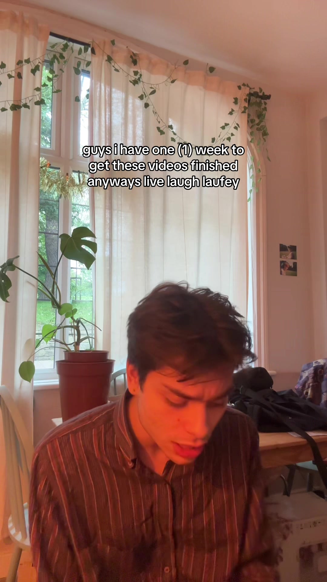 @leo. (in dreamland)