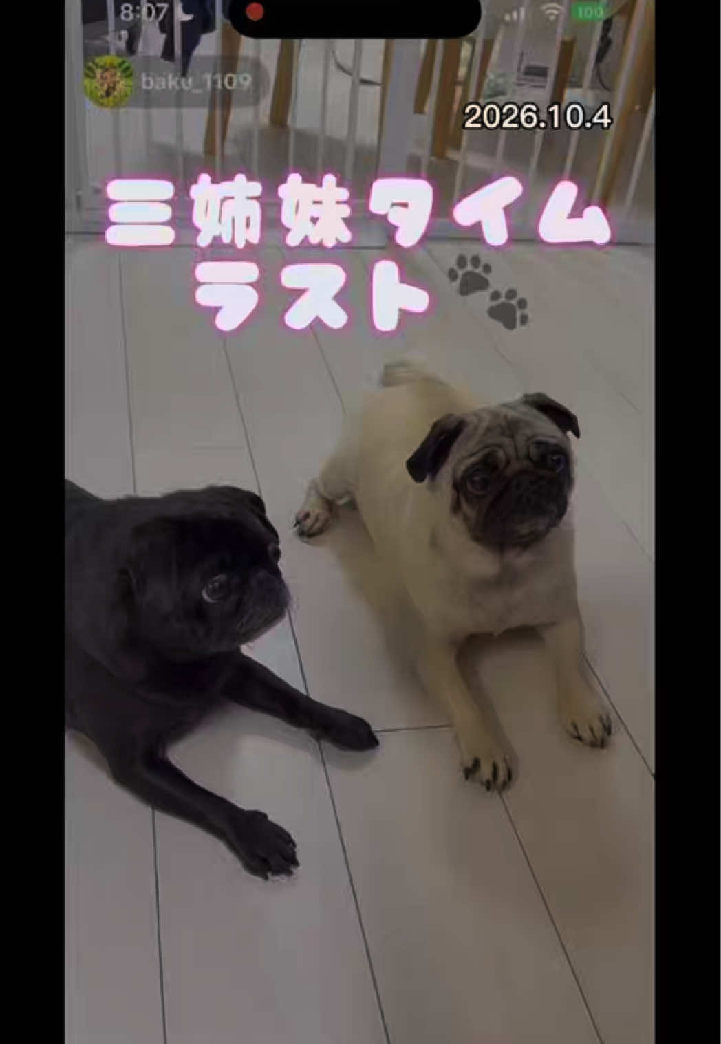 @すずか🧊🫧