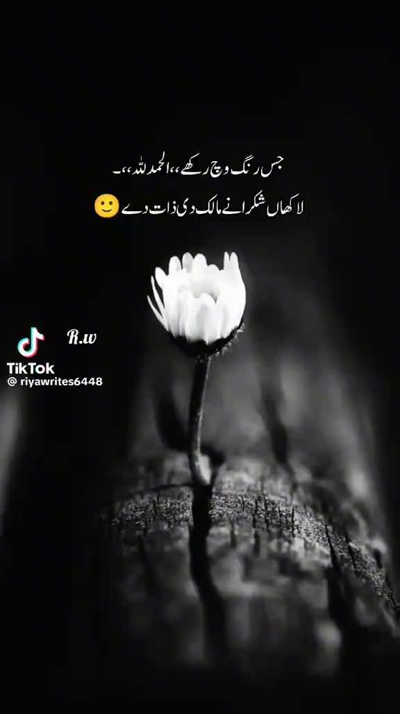 @Mohammed rauf assalamu 🤟🤟